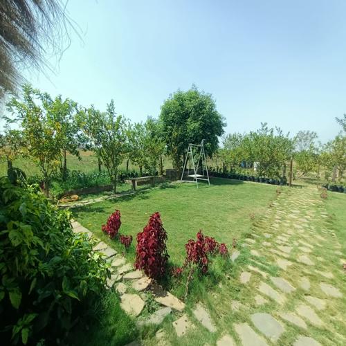 Jaivik Jeevan Farmstay B, Dhanora Haveli